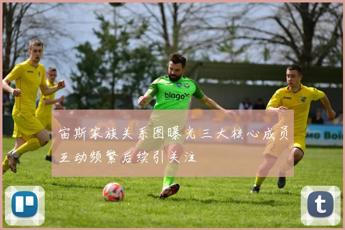 宙斯家族关系图曝光三大核心成员互动频繁后续引关注